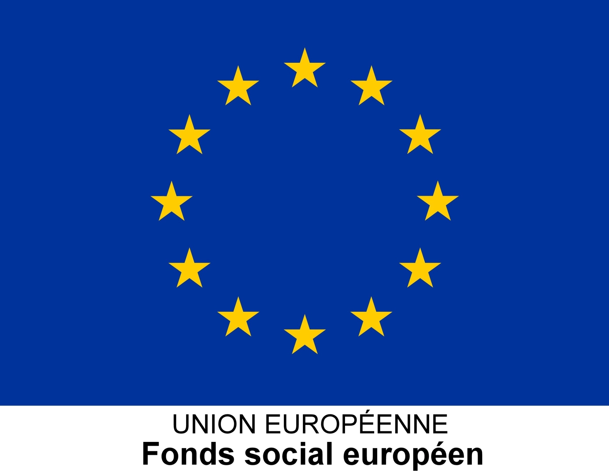 logo_unionfse